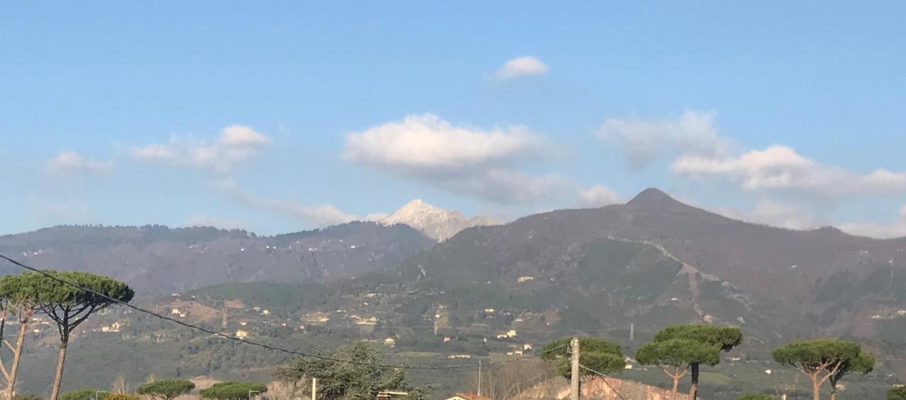 Domus Zoe Leilighet Forte dei Marmi Eksteriør bilde